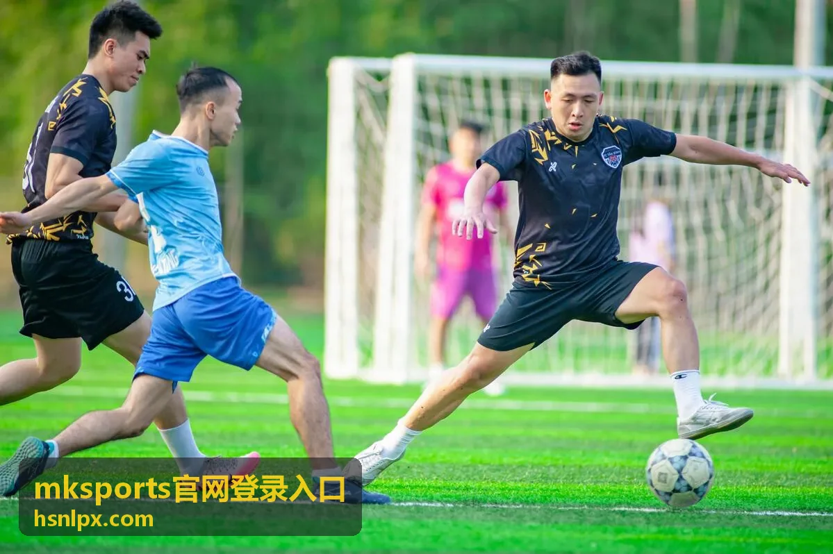 mksports官网登录入口验证码问题说明配图